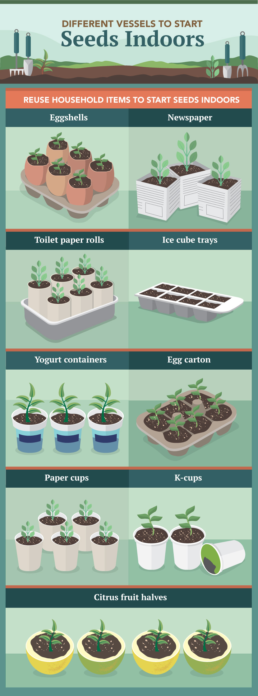 Different Vessels to Start Seeds Indoors