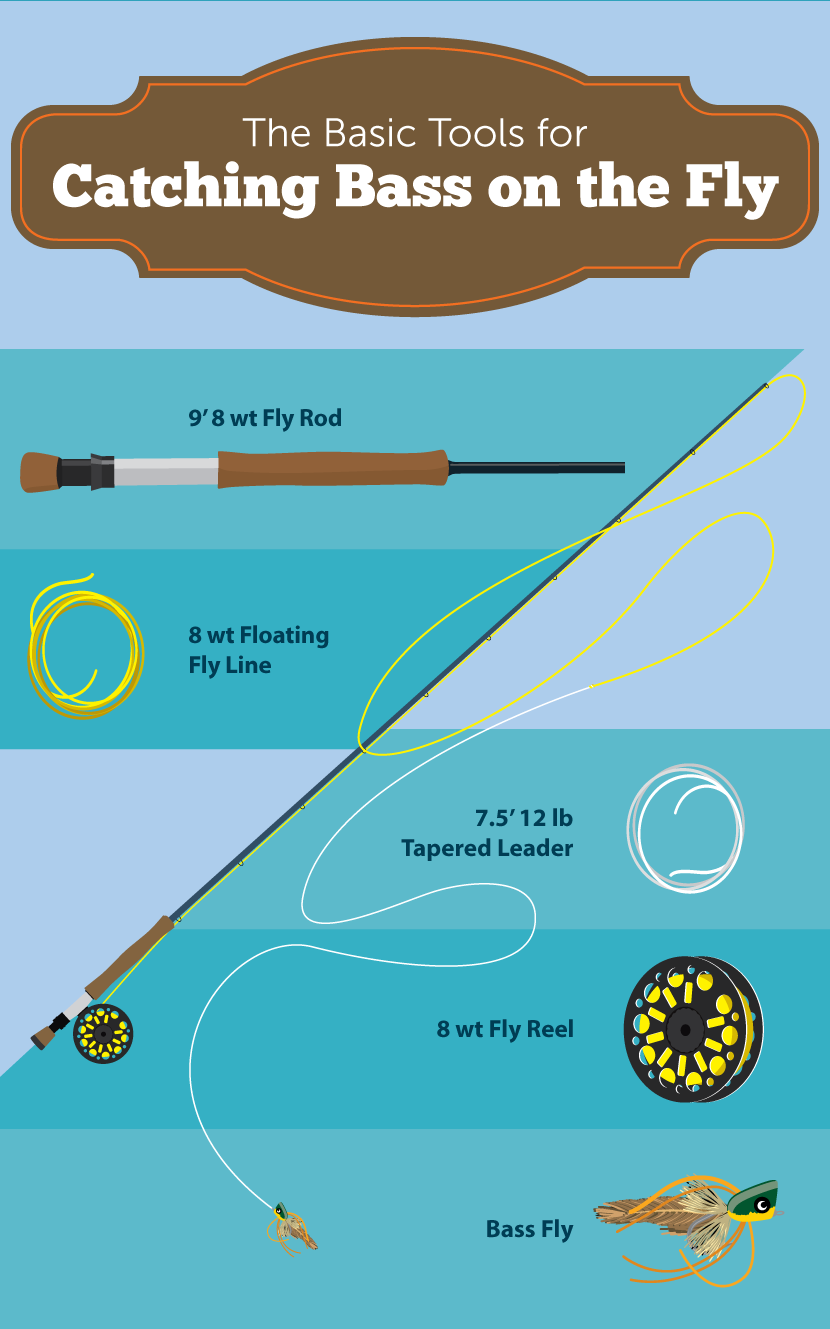 Basic Tools For Catching Bass on The Fly - How to Catch Bass on a Fly Rod