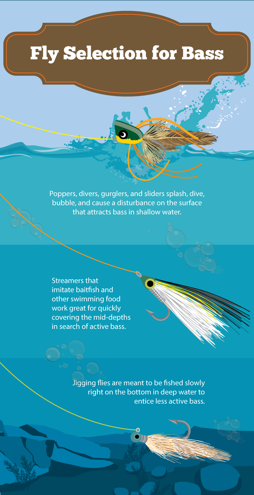 Fly Selection For Bass - How to Catch Bass on a Fly Rod